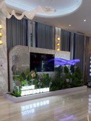 -深圳美莱医疗美容医院