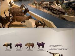 -武汉园博园(武汉自然博物馆)