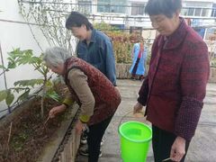 -上海市奉贤区奉城镇敬老院(洪天奉城分院)