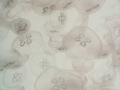 -沈阳海洋探索中心