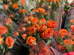 -循礼门鲜花花市(武汉循礼门店)