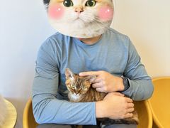 -有喵·猫咖·狗咖·40+猫狗有小奶狗(岗厦店)