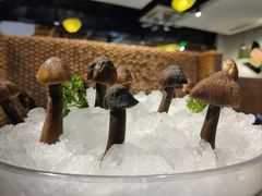 -云尊府云南菜·蒸汽石锅鱼(学清路店)