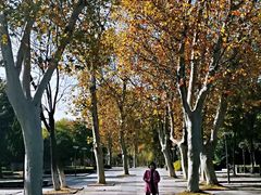 -泰州凤城河风景区-泰山公园