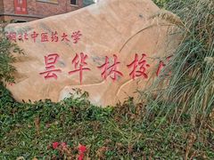 -湖北中医药大学(昙华林校区)