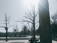 -大雁塔北广场音乐喷泉