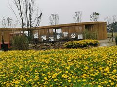 -夏河溪乡野公园