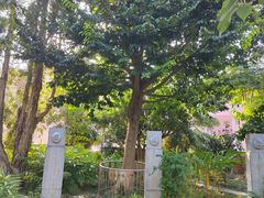 -广州神农草堂中医药博物馆