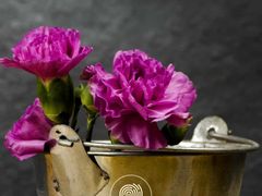 -有礼有面(知春路店)