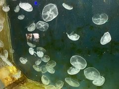 -嘉兴海底世界