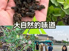 -西安永宁门大景城堡酒店