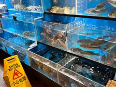 -伊藤洋华堂(温江店)