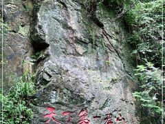 -王顺山国家森林公园
