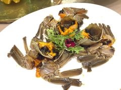 -王宝和酒家(黄浦店)
