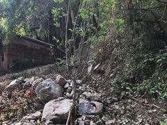 -火炉山森林公园
