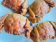 -西安凯悦酒店-自助餐厅·海鲜·火锅·烧烤