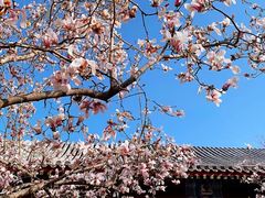 -北京颐和宾馆