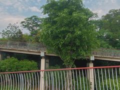-飞凤山奥体公园