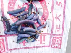 -萝卜寨羌文化生态旅游区