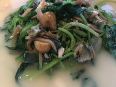 上汤鸡毛菜-四季民福烤鸭店(前门廊房二条店)