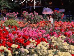 -三里河公园