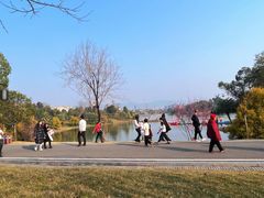 -枫香湖儿童公园