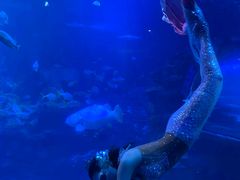 -太平洋海底世界