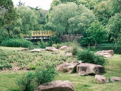 -东方绿舟景区