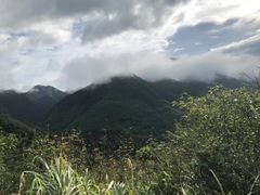 -四明山国家森林公园