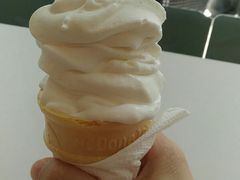 -麦当劳(新洲南路店)