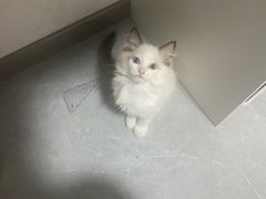 -天津东丽湖风景区