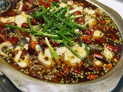 -乡土特色.冷锅鱼.牦牛肉汤锅