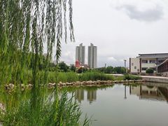 -绿岛公园(滨海新区)