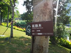 -四海公园(南山区)