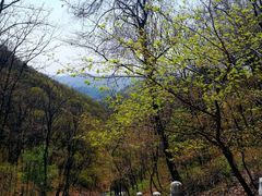 -九鼎铁刹山风景区