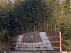 -日照海滨国家森林公园