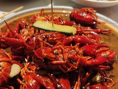 -杨氏青龙虾·羊蝎子(金盛路总店)