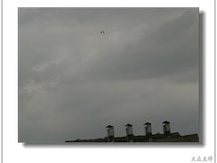-同里国家湿地公园