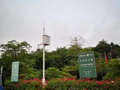 -大沙河公园