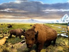 -陕西自然博物馆