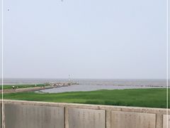 -南汇嘴观海公园