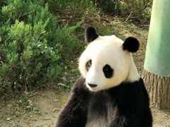 -天津市动物园