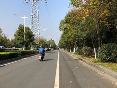 -艾溪湖湿地公园