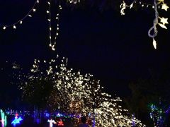 -济南国际园博园