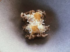 -码头餐厅