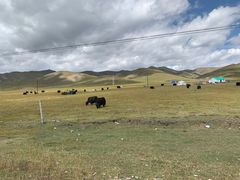 -扁都口生态休闲旅游区
