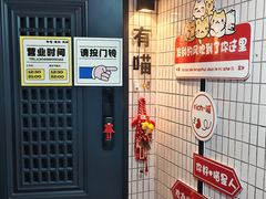 -有喵·猫咖·狗咖·30几只猫10只小狗(岗厦店)