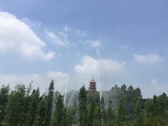 -三水森林公园
