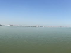 -大湾区中央湿地公园