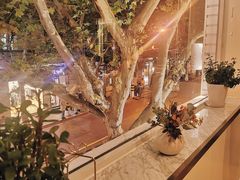 -蝶舍·MAISON PAPILLON